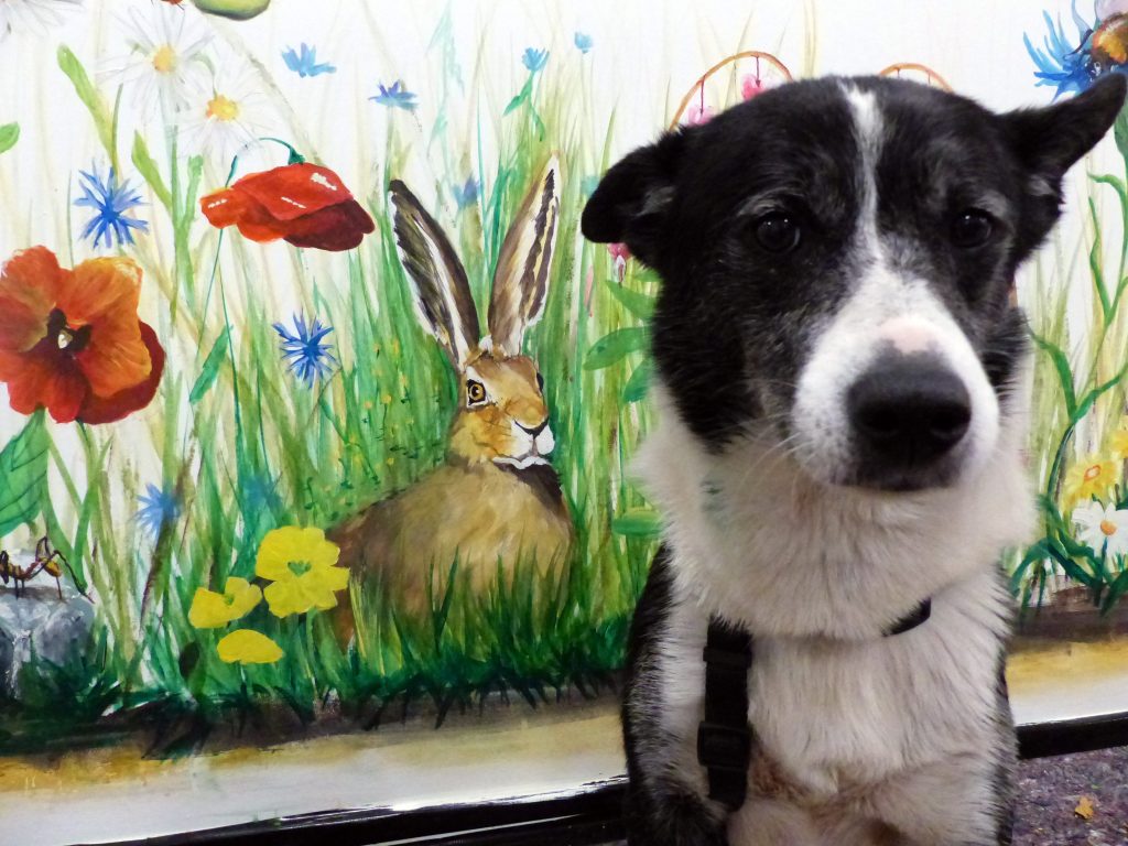 gereontopsychatrie (2)