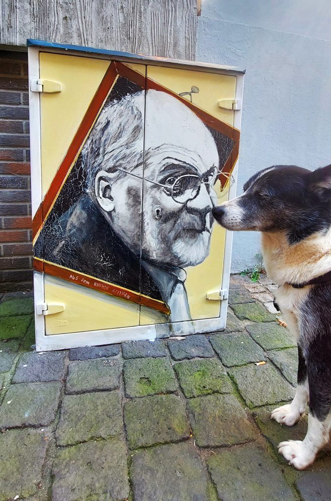 hüschie nachher (2)