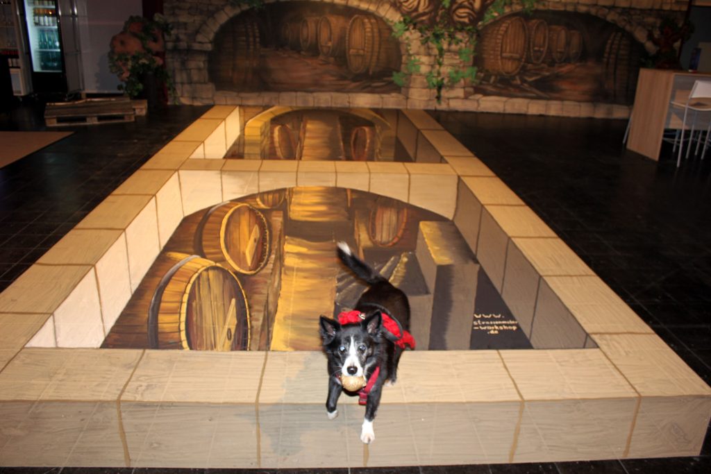 westfalenhalle dortmund